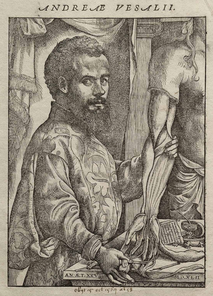 Andreas Vesalius foto