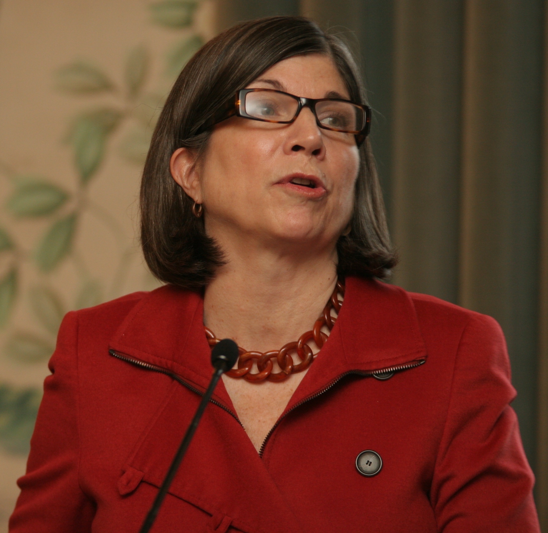 Anna Quindlen foto