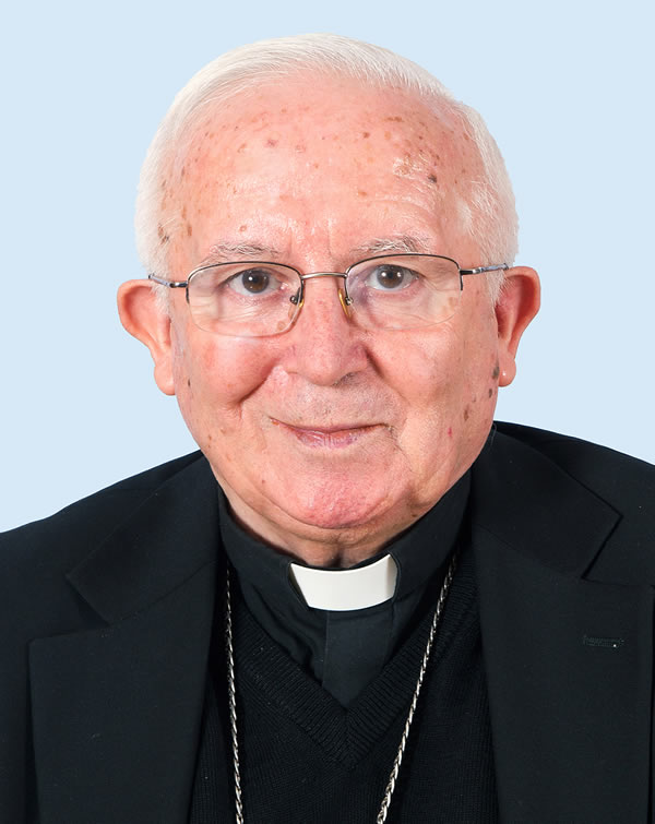 Antonio Cañizares Llovera foto