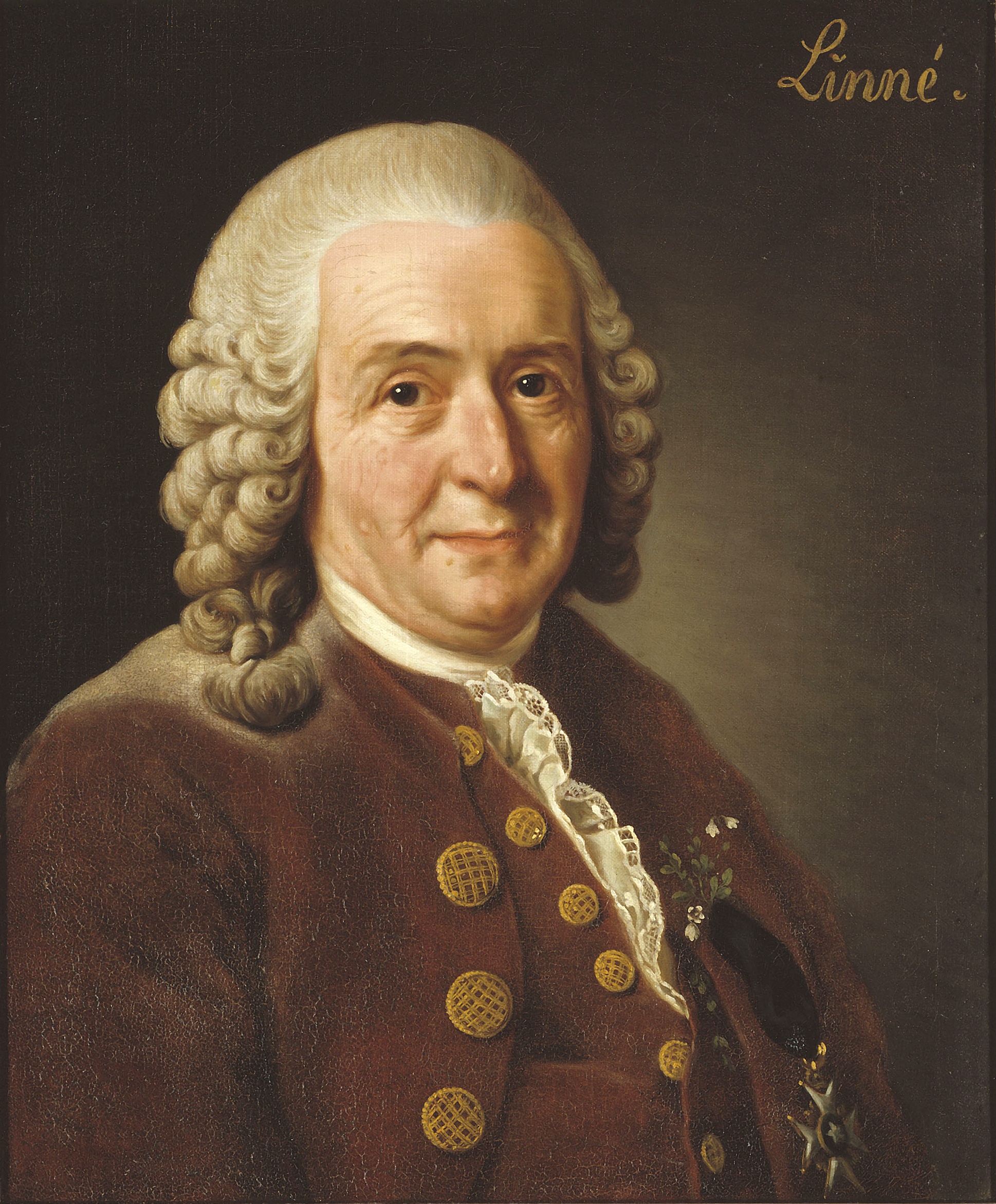 Carl Von Linné foto