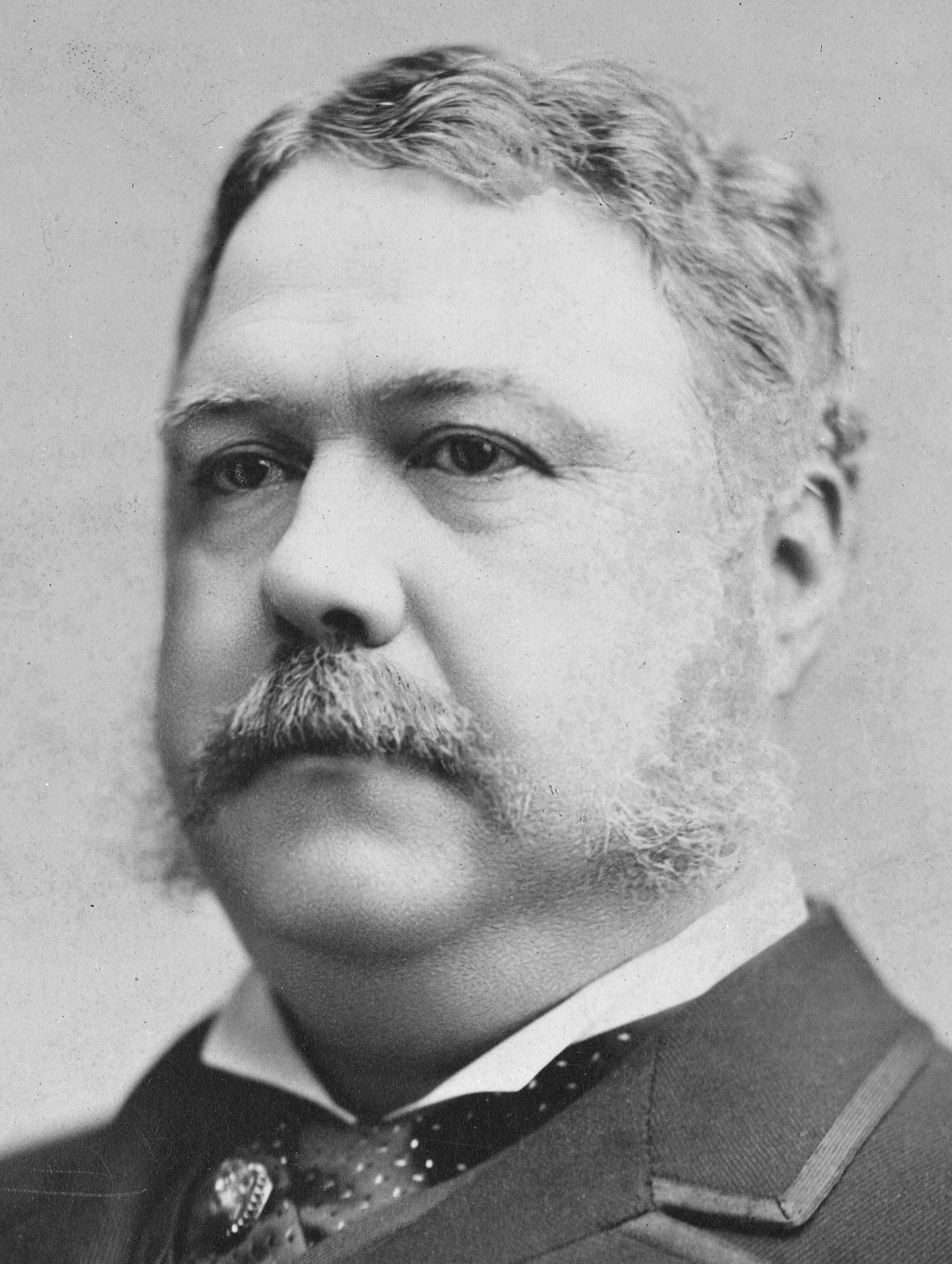 Chester A. Arthur foto
