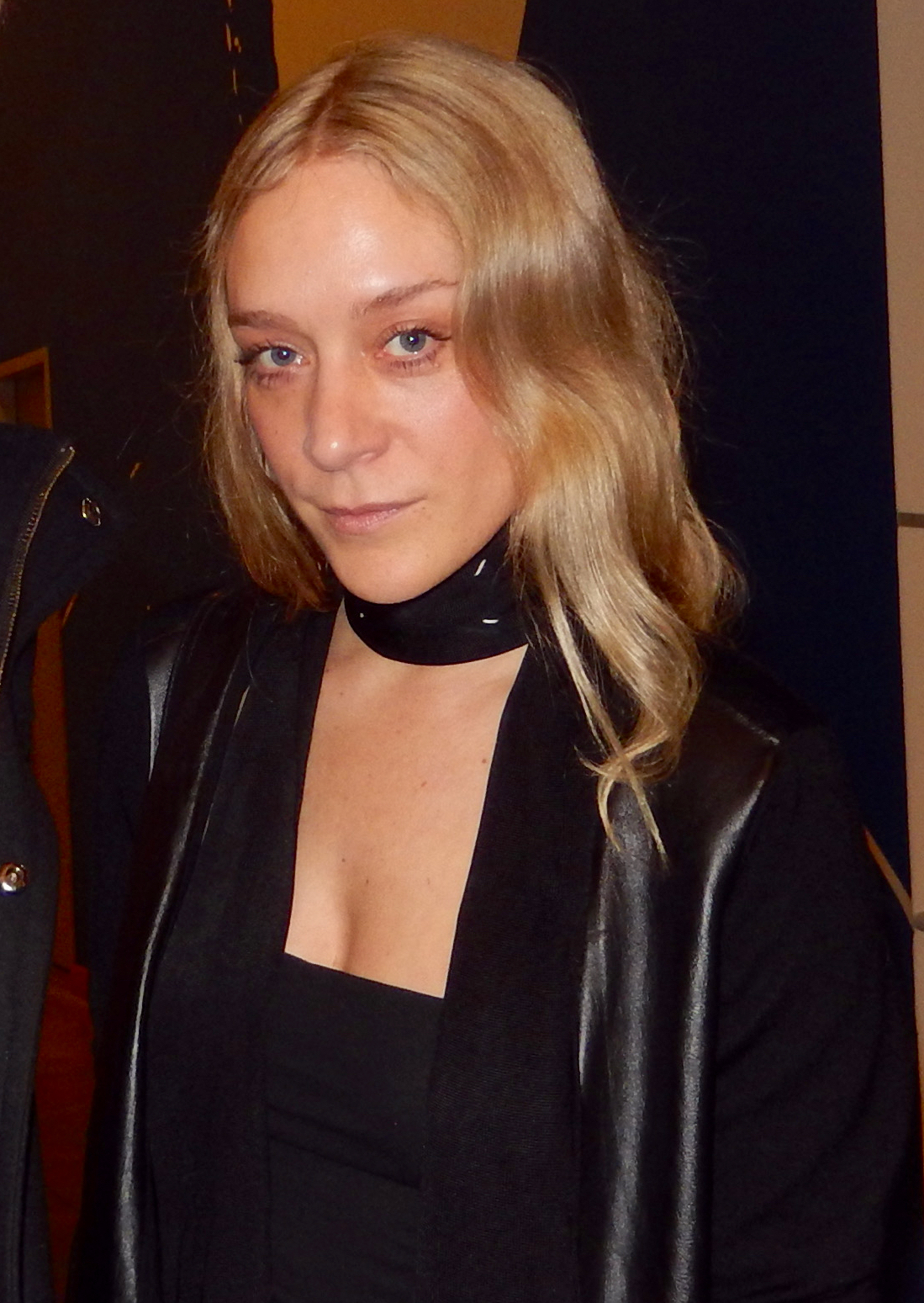 Chloë Sevigny foto