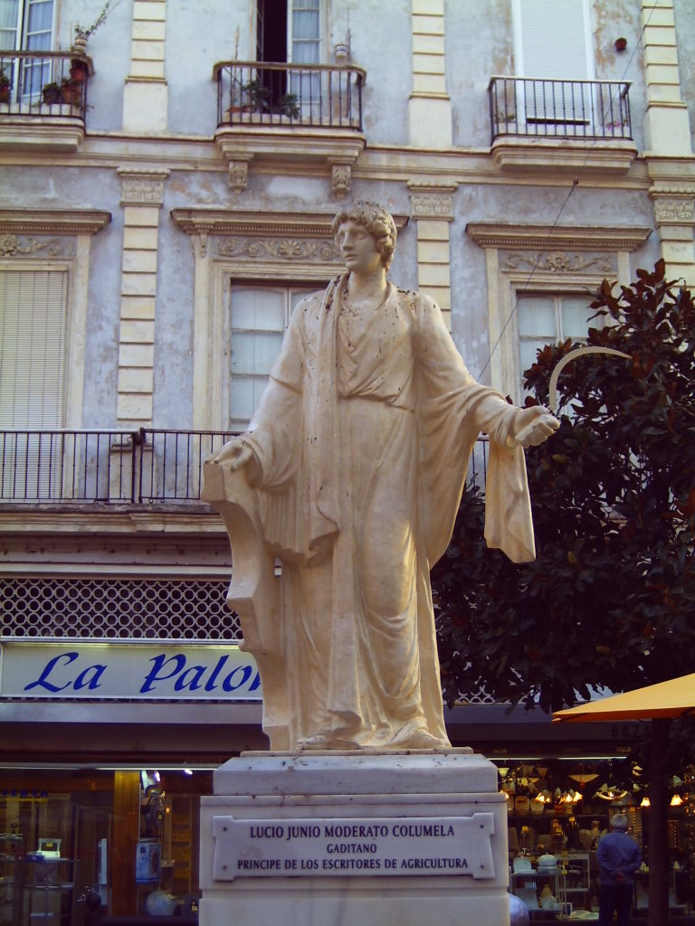 Columella foto