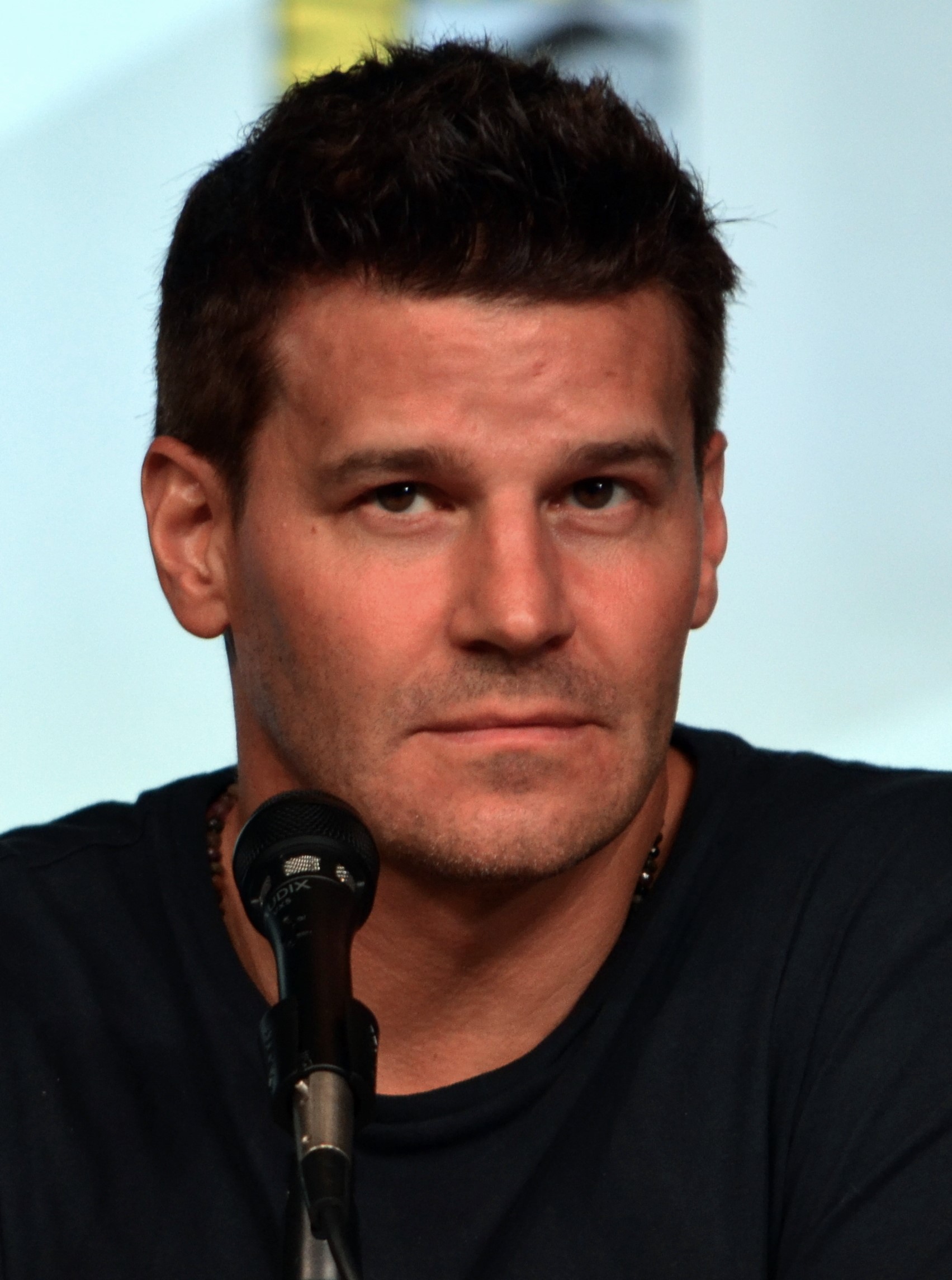 David Boreanaz foto