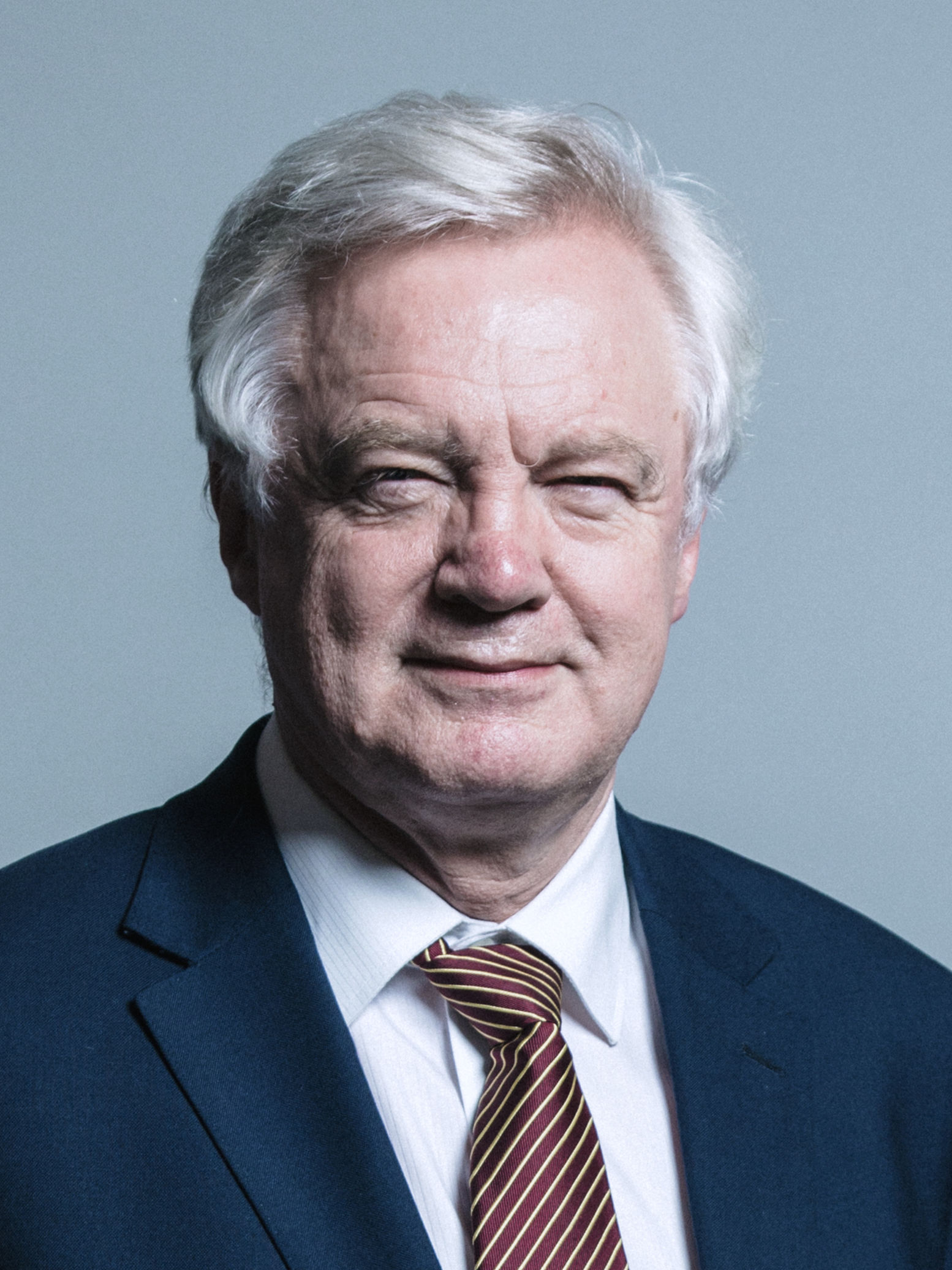 David Davis foto