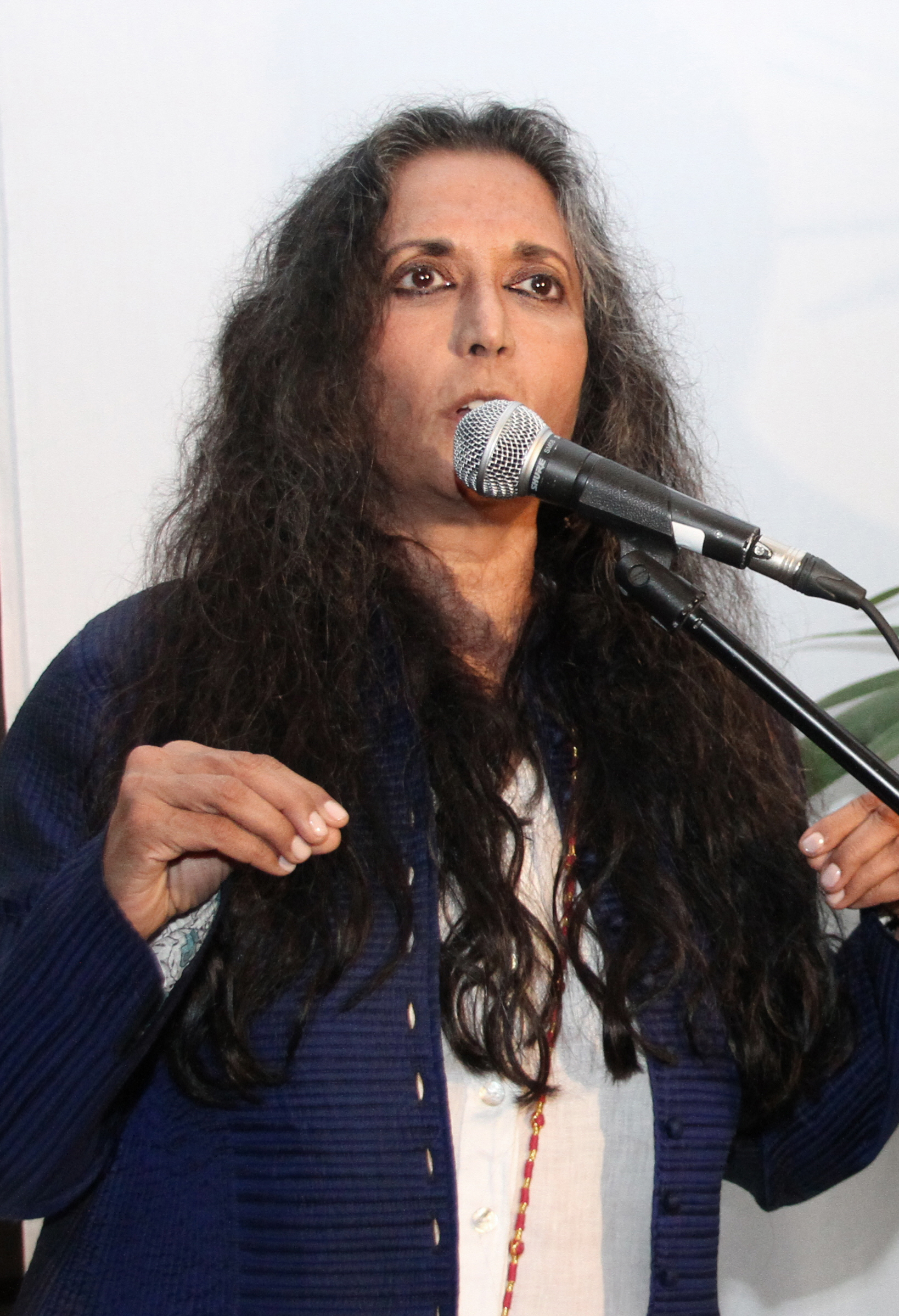 Deepa Mehtaová foto