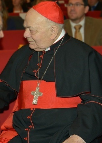 Elio Sgreccia foto