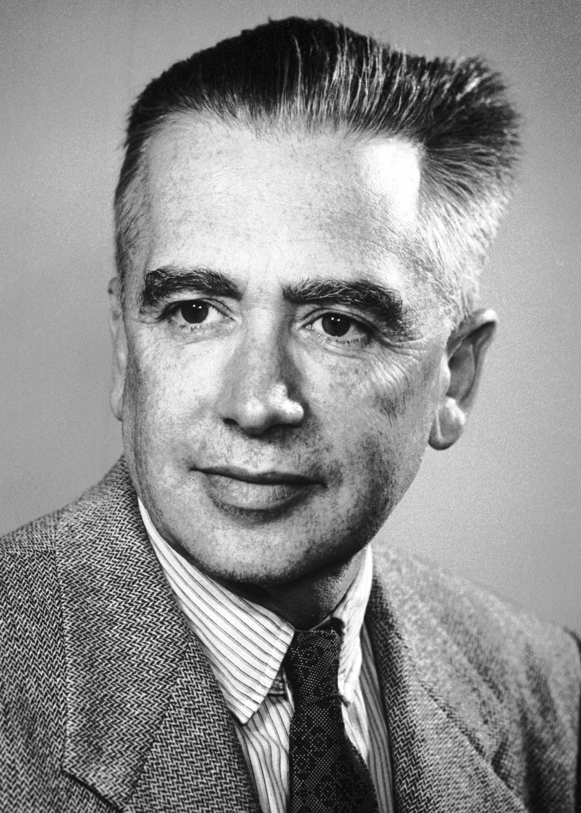 Emilio Gino Segre foto