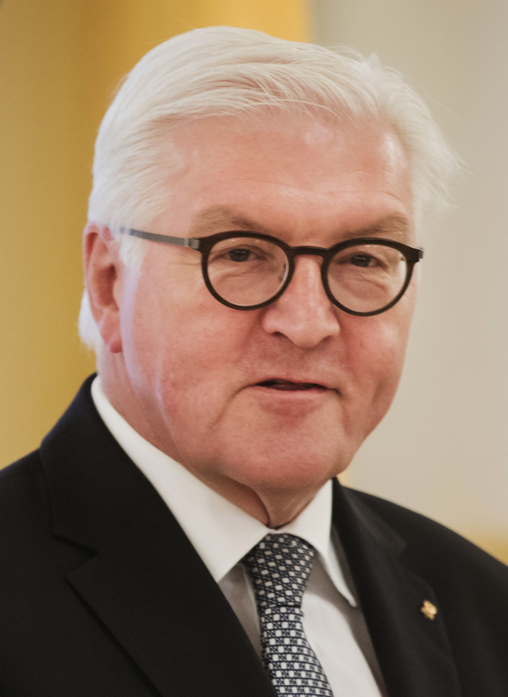 Frank-Walter Steinmeier foto