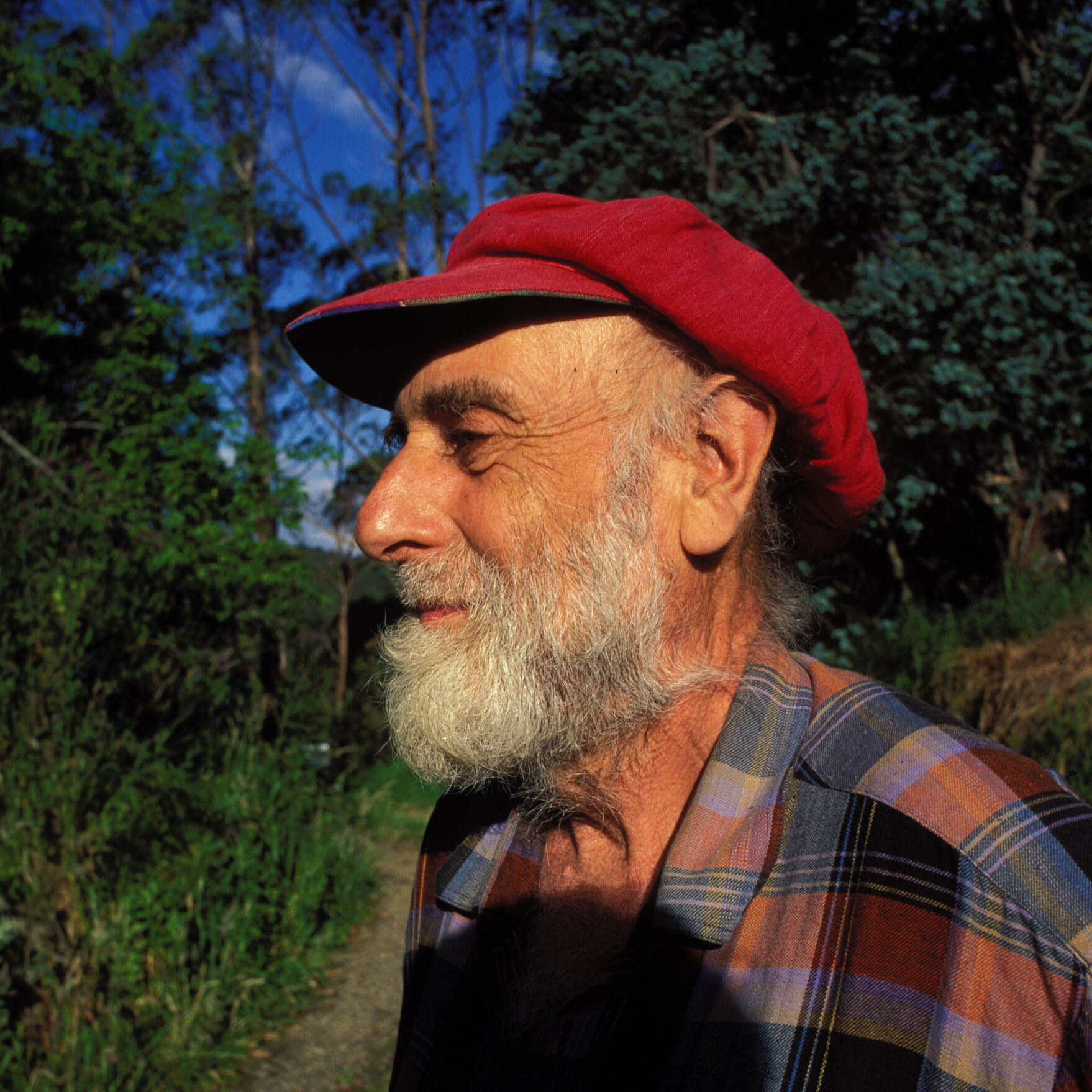 Friedensreich Hundertwasser foto