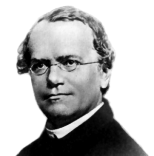 Gregor Mendel foto