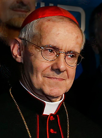 Jean-Louis Tauran foto