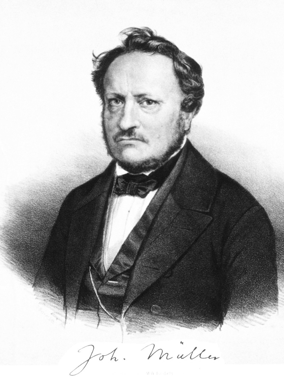 Johannes Peter Müller foto