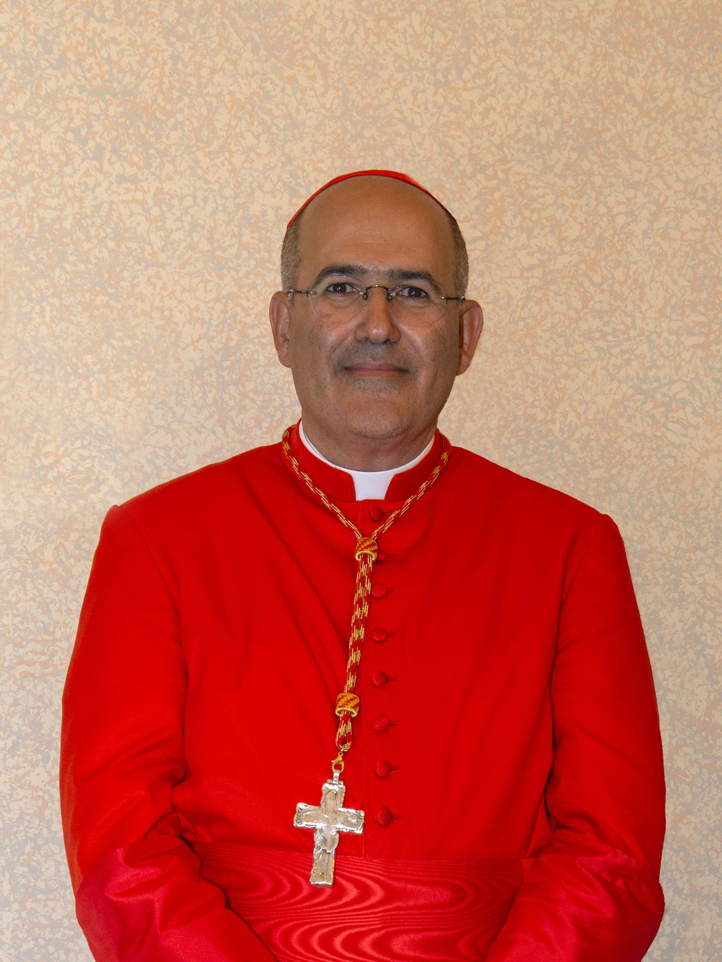 José Tolentino de Mendonça foto