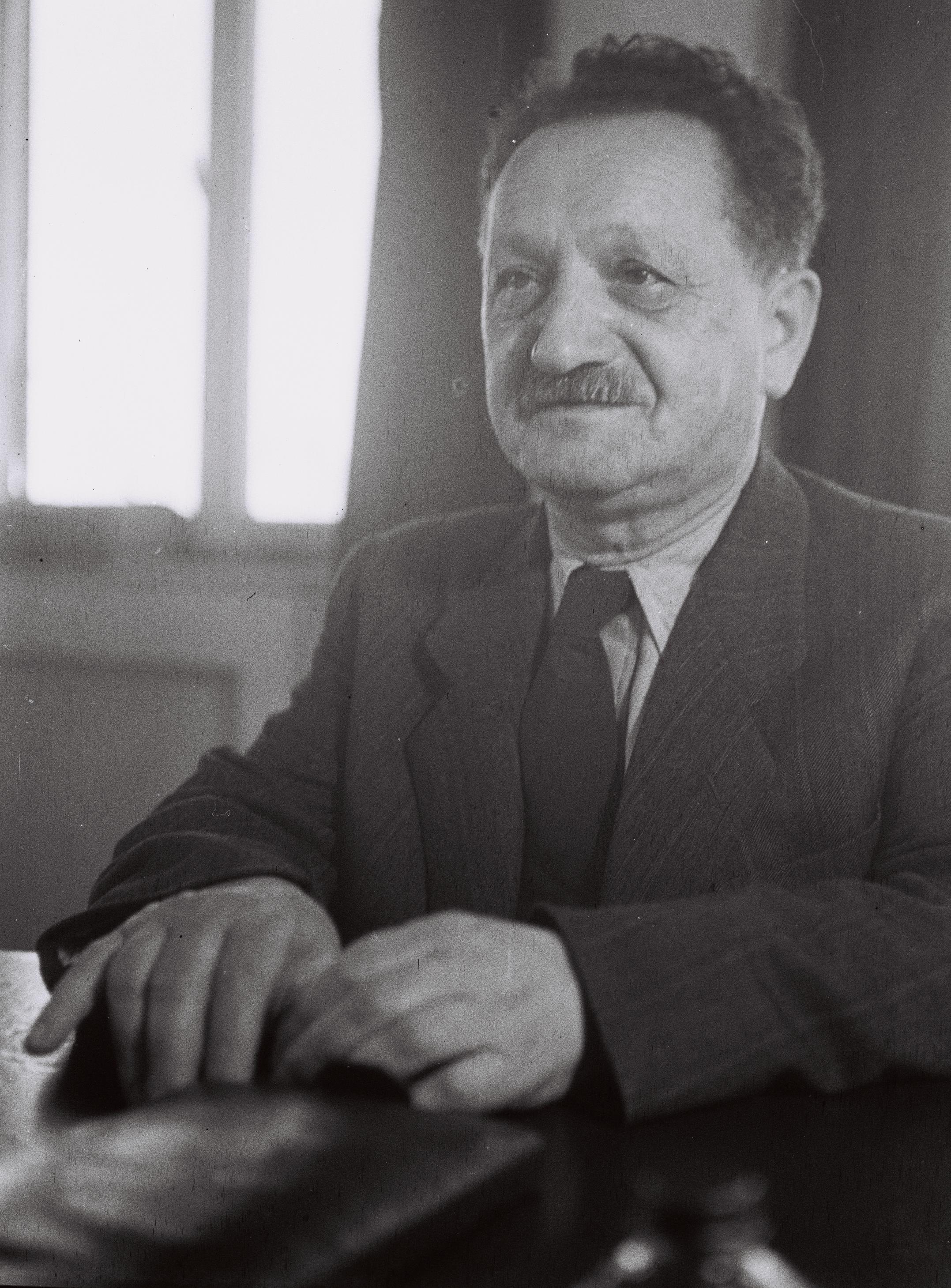 Josef Šprincak foto