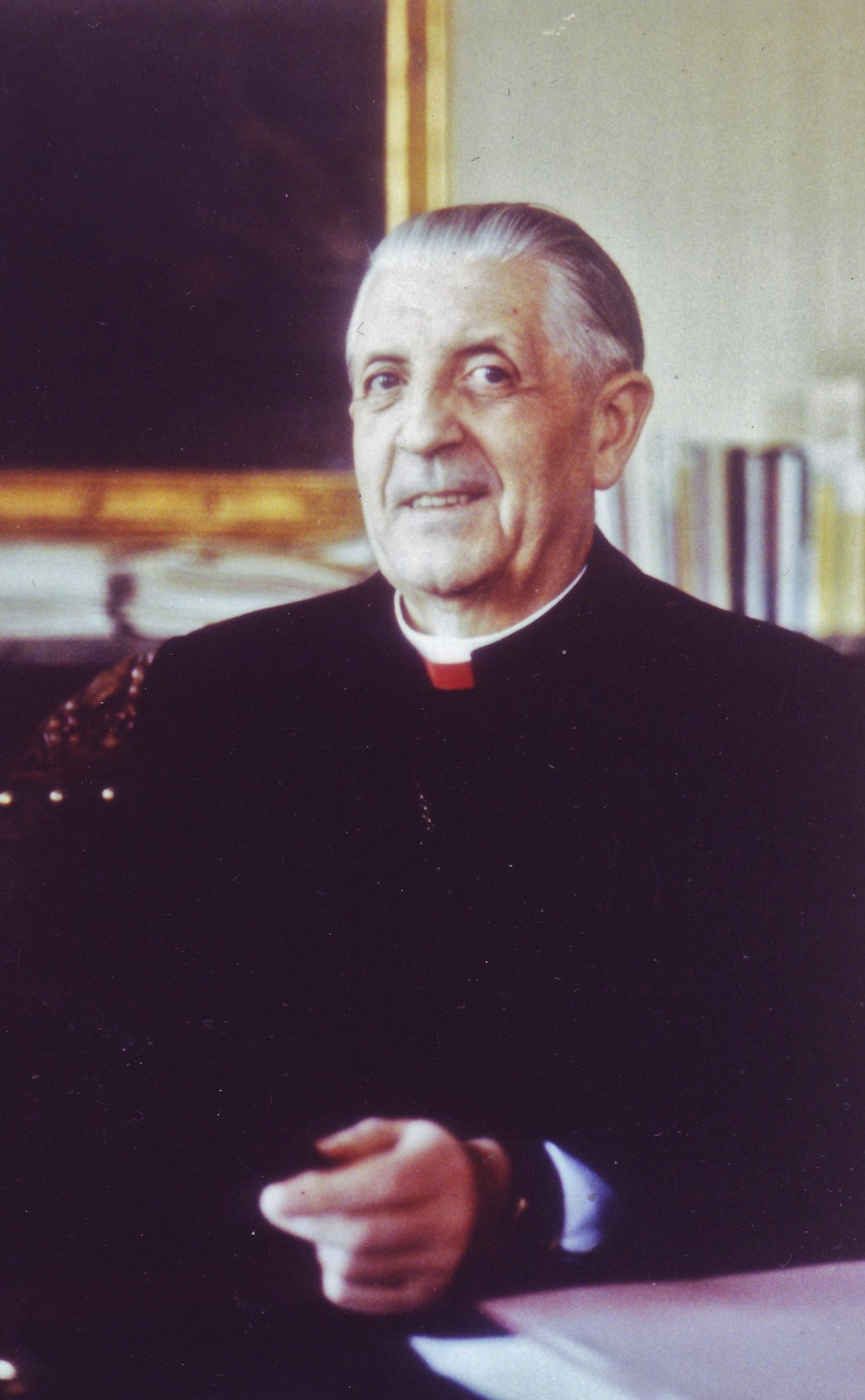 Léon-Joseph Suenens foto