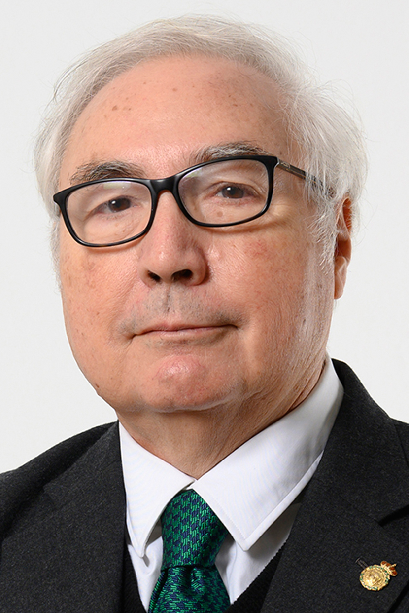 Manuel Castells foto