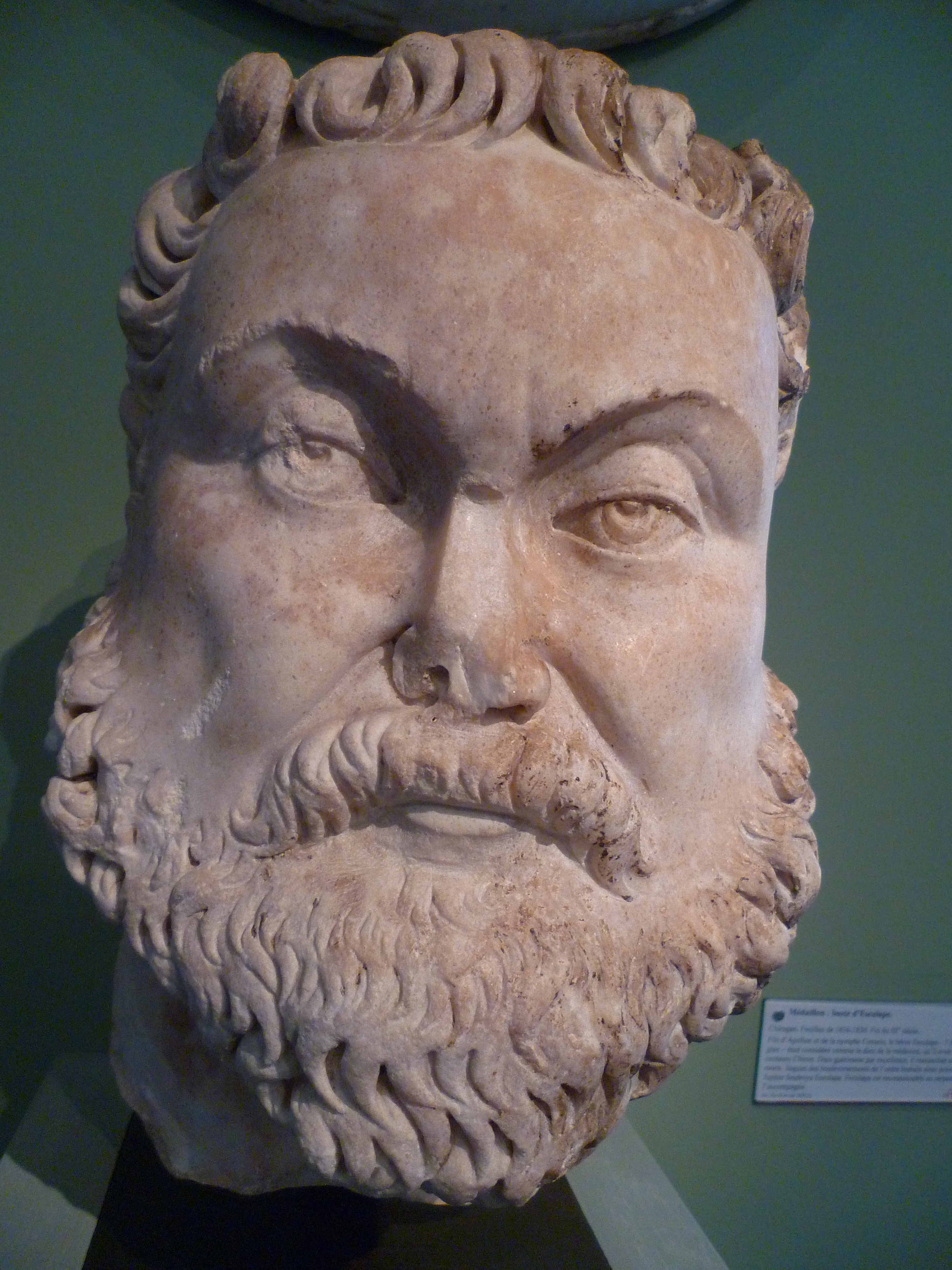 Maximianus foto
