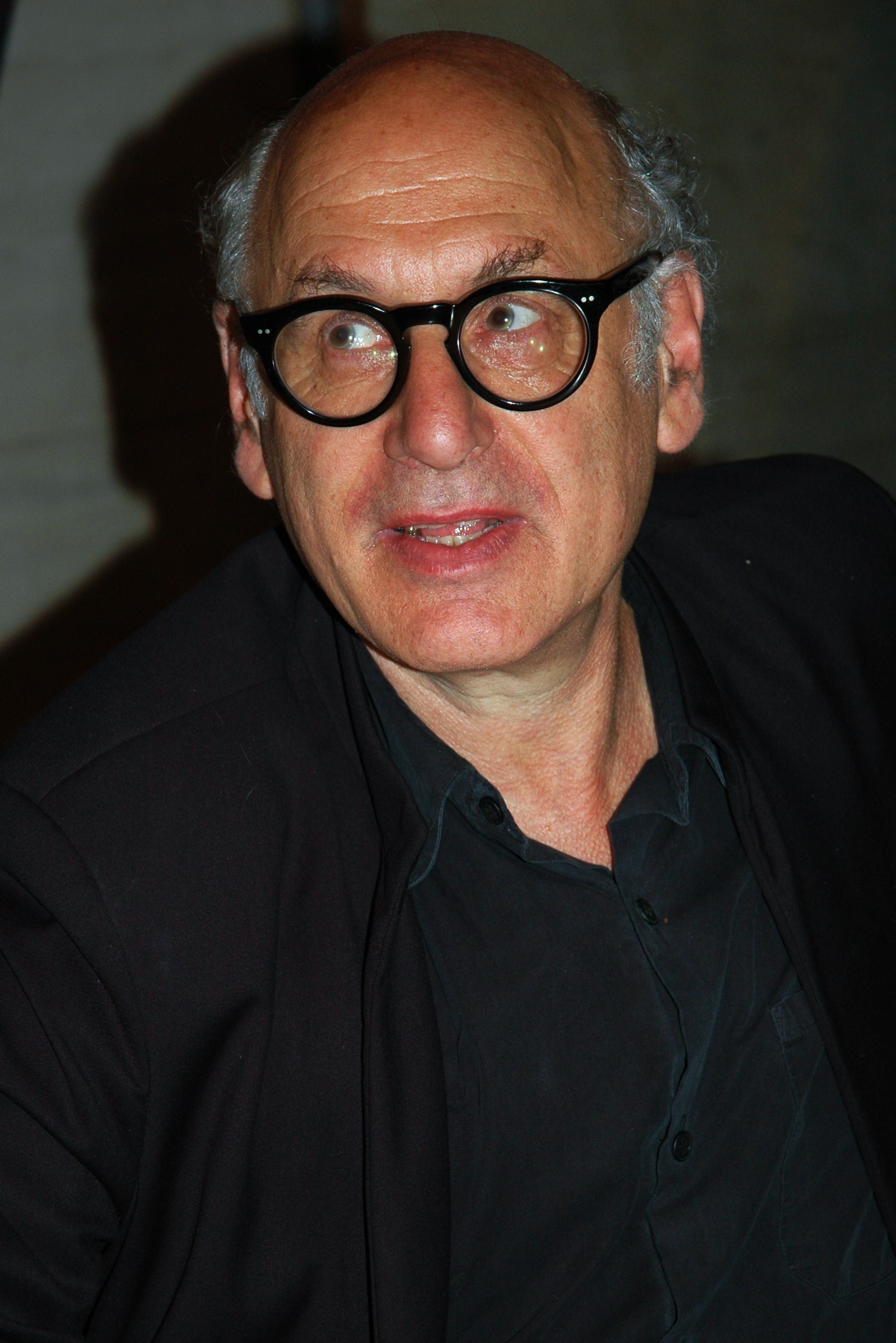 Michael Nyman foto