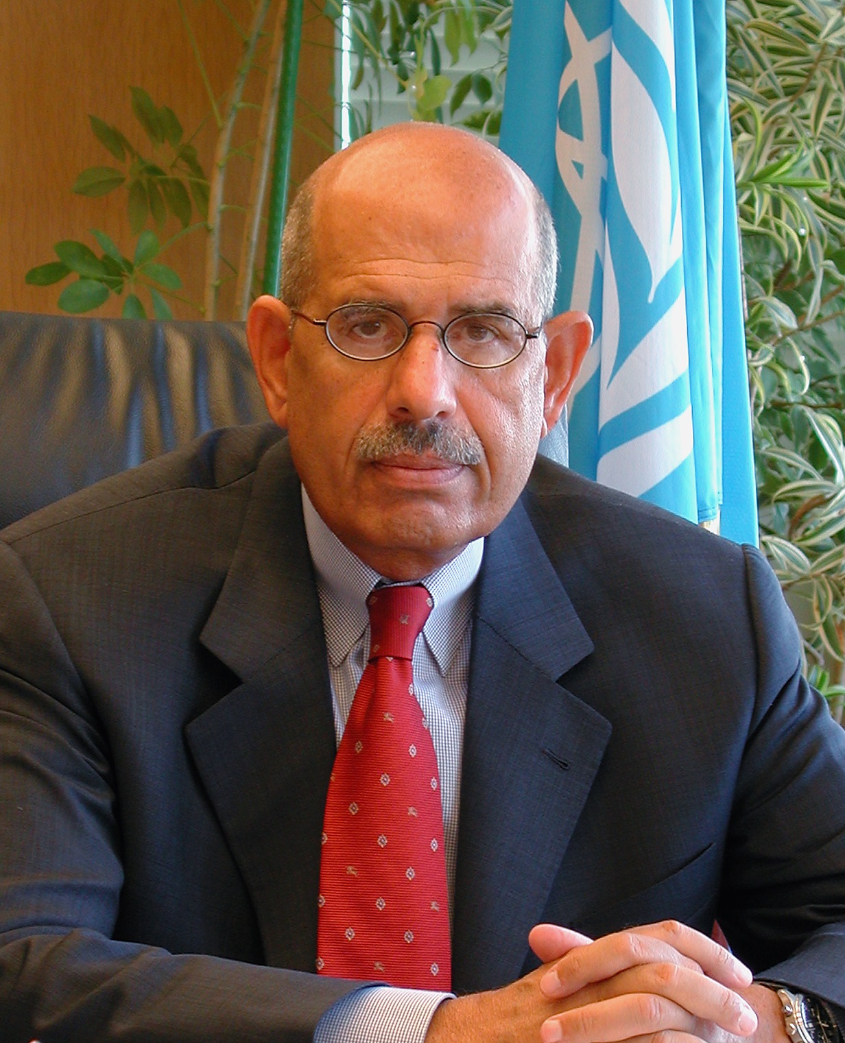 Muhammad Baradej foto