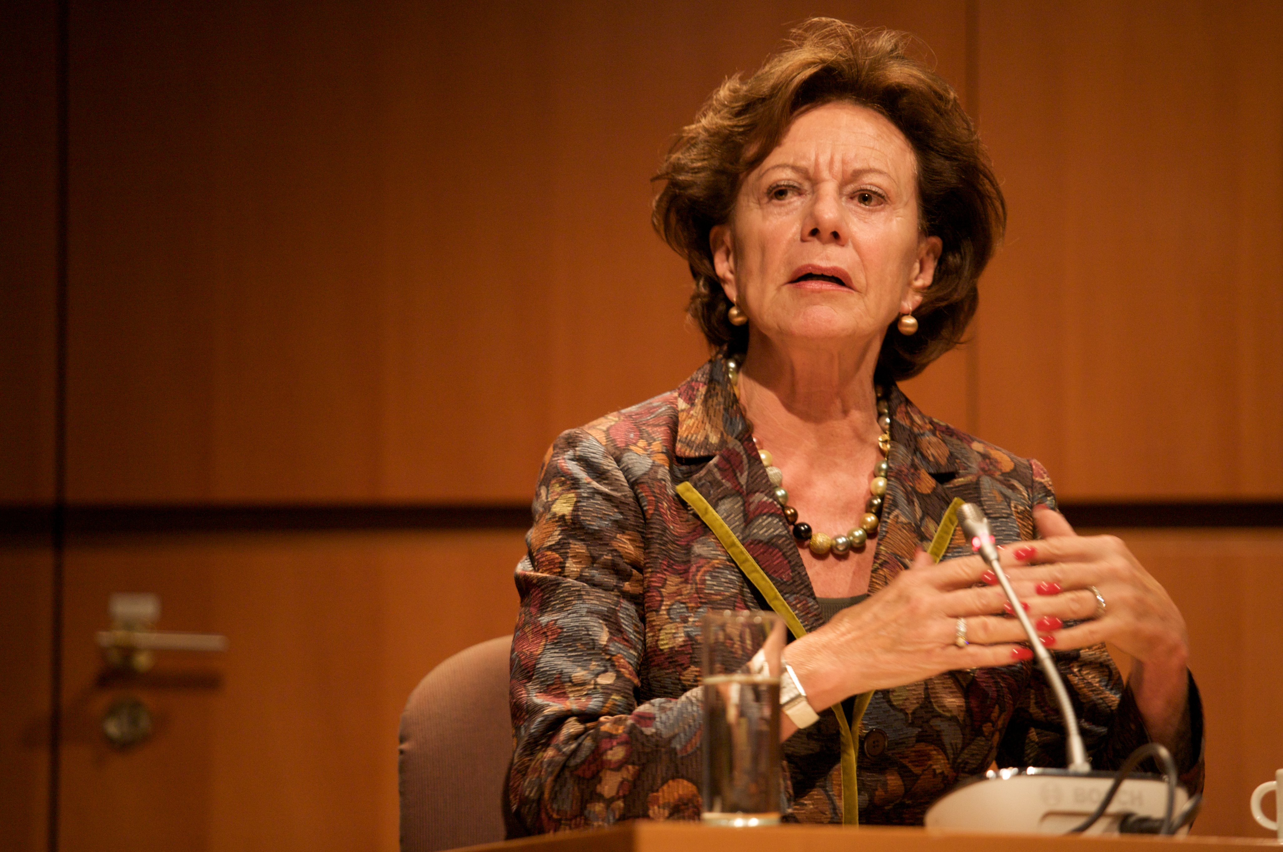 Neelie Kroesová foto