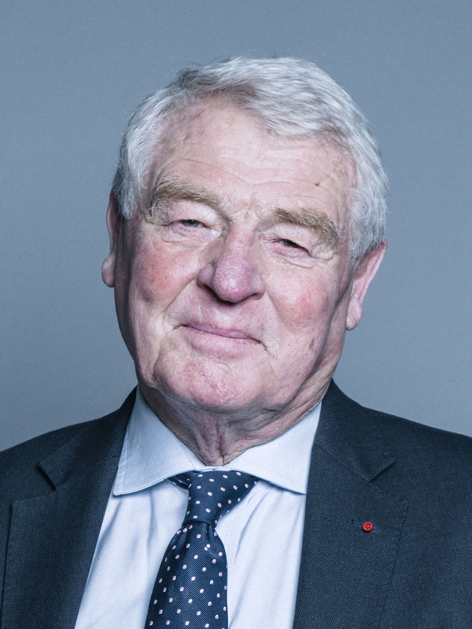 Paddy Ashdown foto