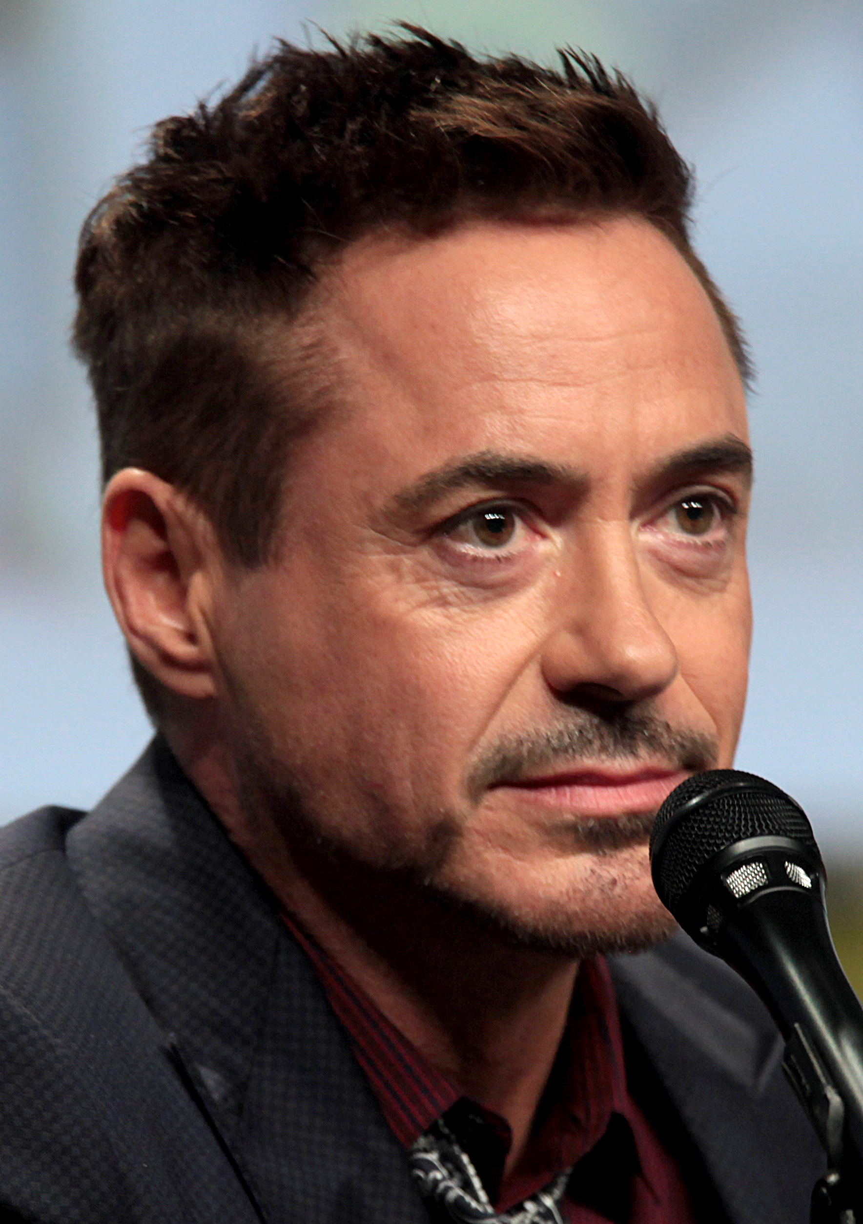Robert Downey Jr. foto