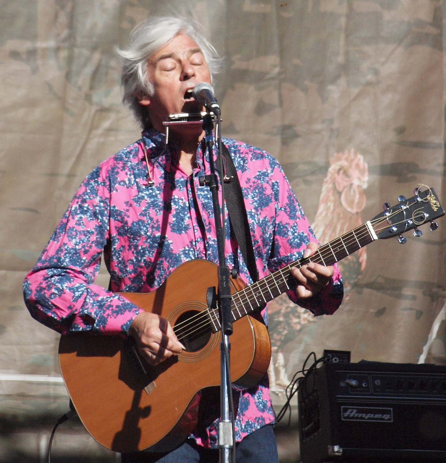 Robyn Hitchcock foto