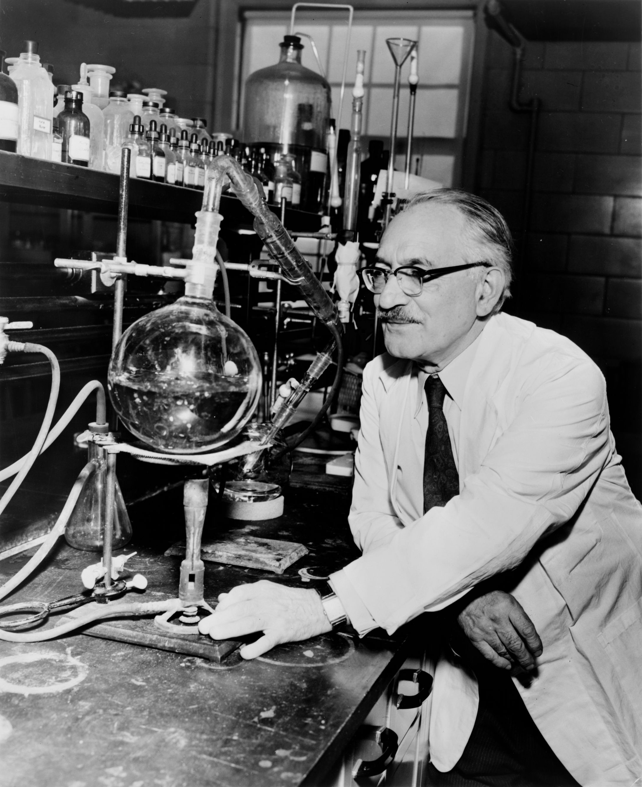 Selman Abraham Waksman foto
