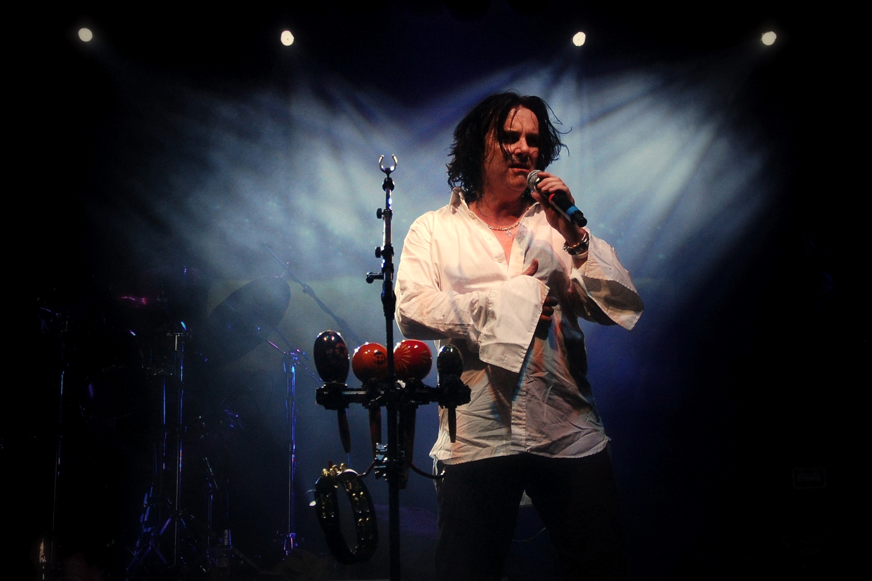 Steve Hogarth foto