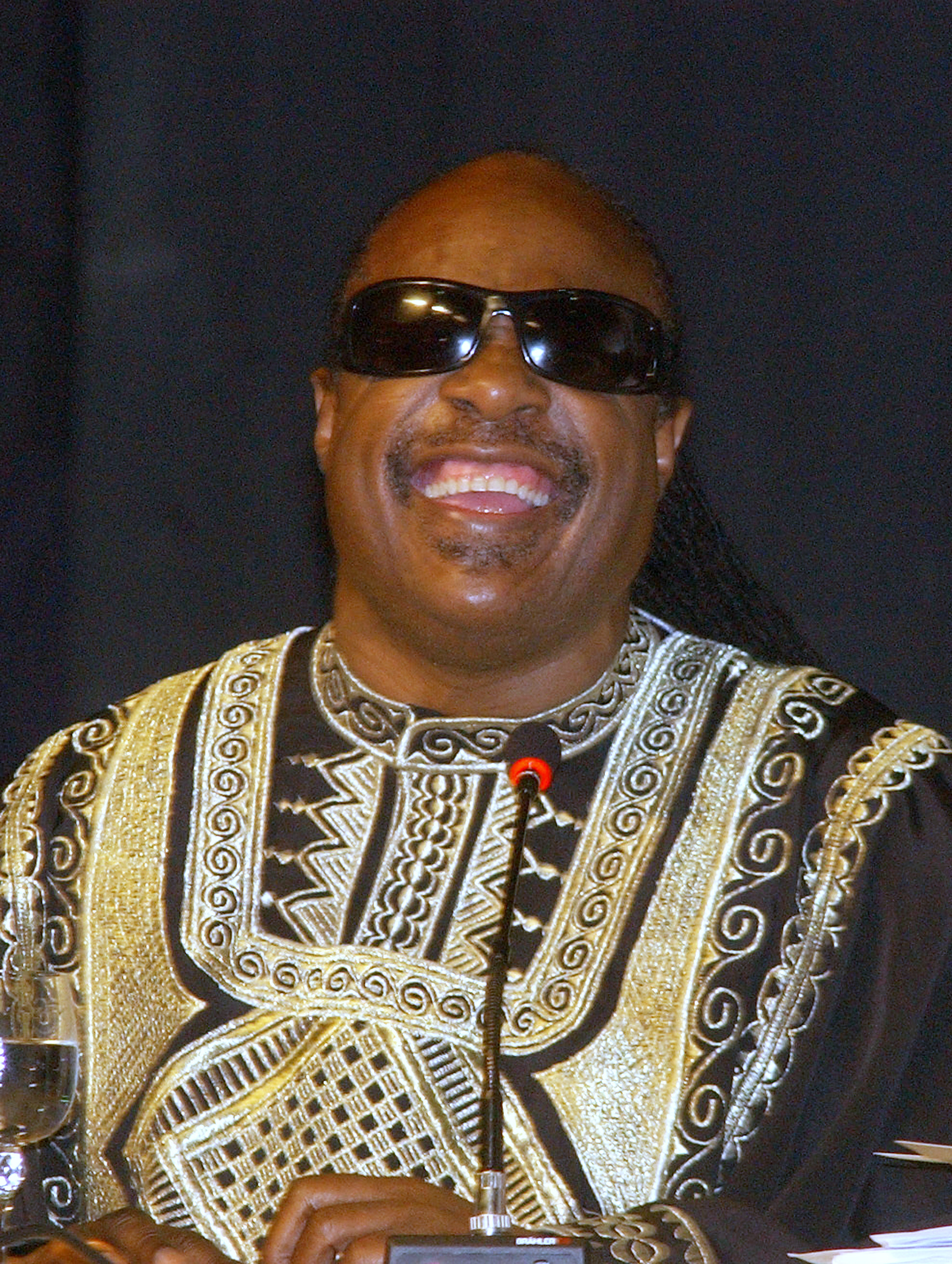 Stevie Wonder foto