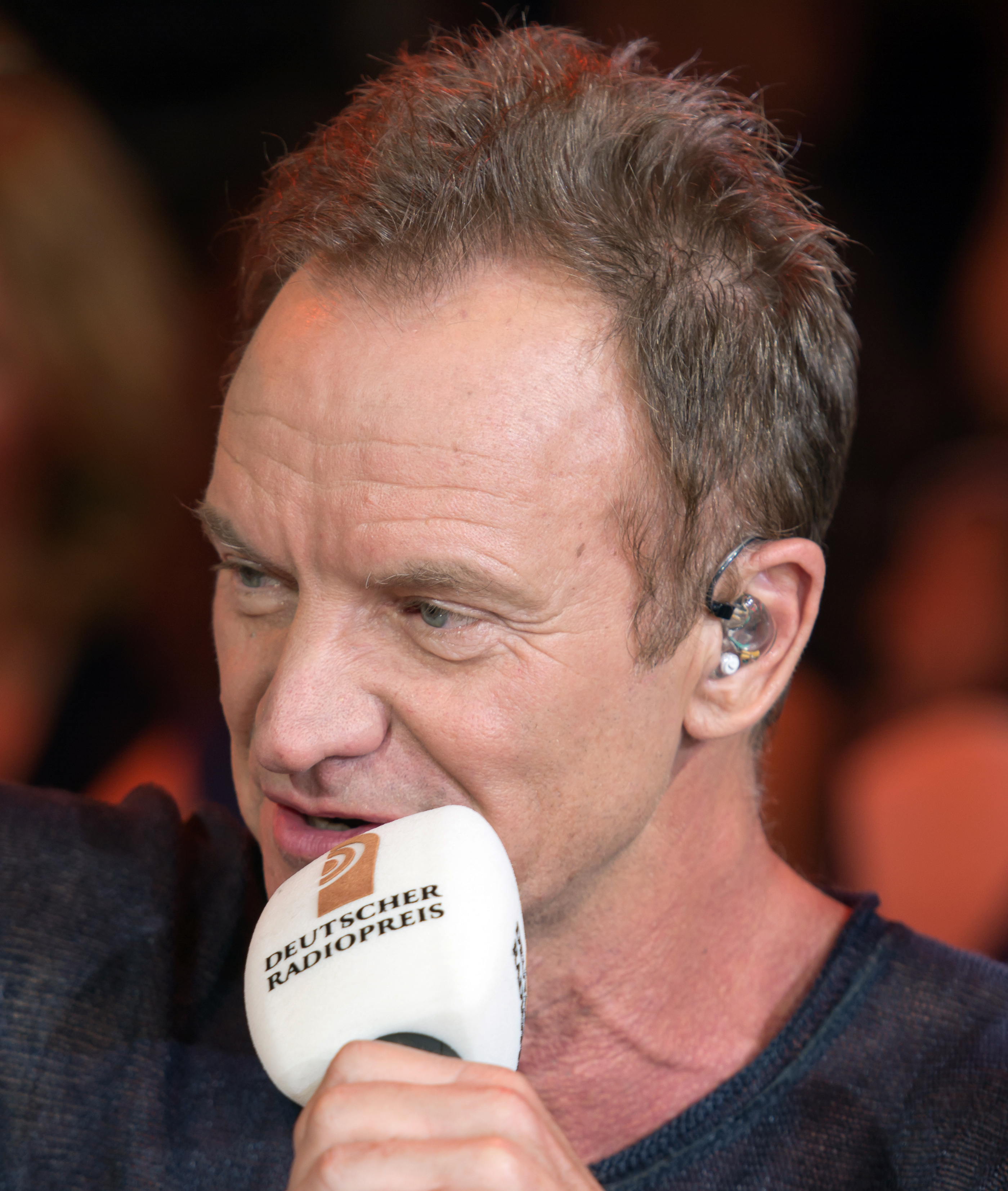 Sting foto