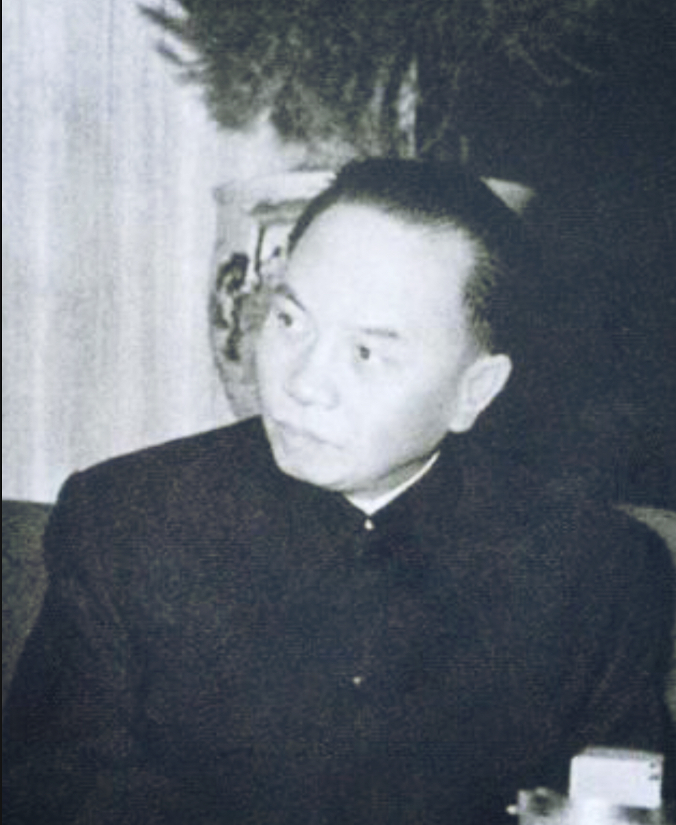 Truong Chinh foto