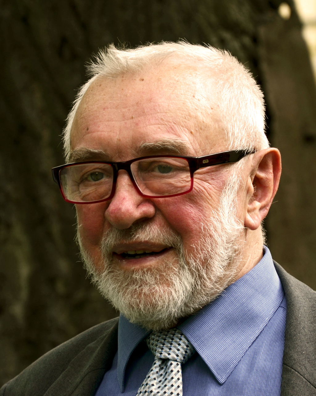 Václav Pavlíček foto