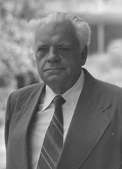Viana Moog foto