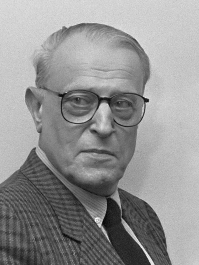 Willem Frederik Hermans foto