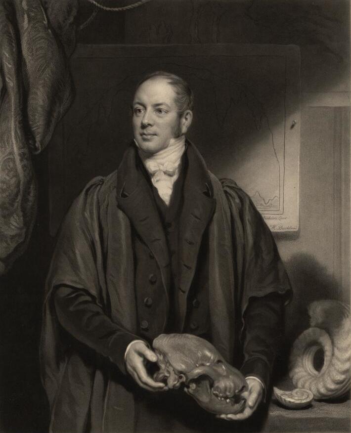 William Buckland foto
