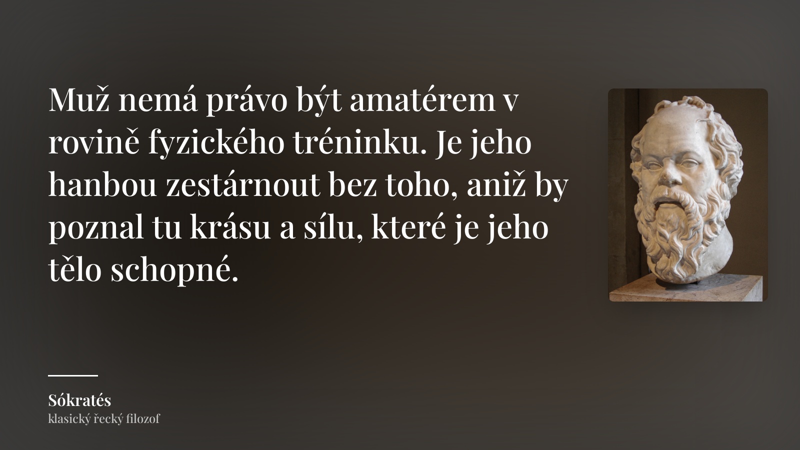 Sókratés citát: „Muž nemá právo být amatérem v rovině fyzického tréninku. Je jeho hanbou zestárnout bez toho, aniž by poznal tu krásu a sílu, které je jeho tělo schopné.“