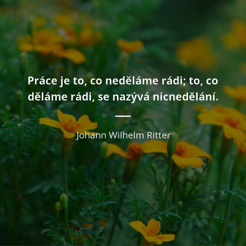Johann Wilhelm Ritter citát: „Práce je to, co neděláme rádi; to, co děláme rádi, se nazývá nicnedělání.“