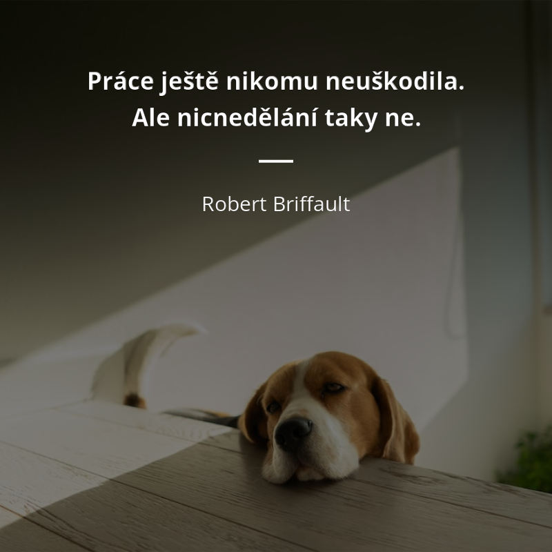 Robert Briffault citát: „Práce ještě nikomu neuškodila. Ale nicnedělání taky ne.“