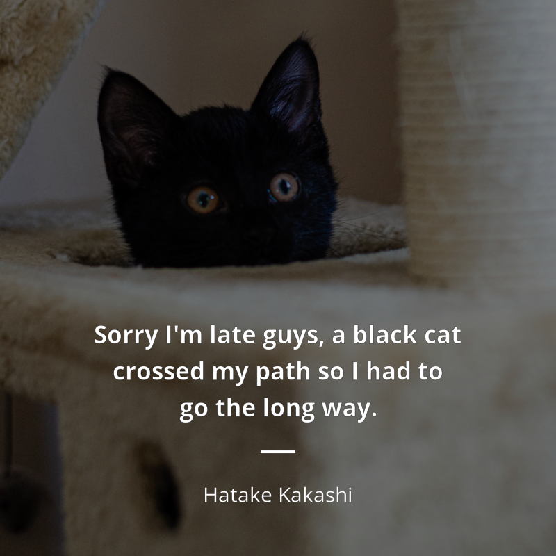 Hatake Kakashi citát: “Sorry I'm late guys, a black cat crossed my path so I had to go the long way.”