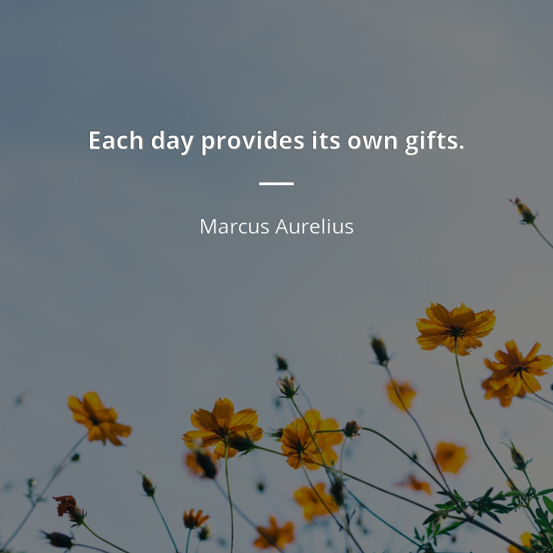 Marcus Aurelius citát: “Each day provides its own gifts.”